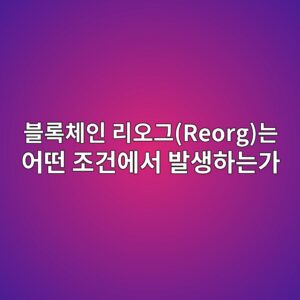 블록체인 리오그(Reorg)는 어떤 조건에서 발생하는가 8 ebb894eba19decb2b4ec9db8 eba6acec98a4eab7b8reorgeb8a94 ec96b4eb96a4 eca1b0eab1b4ec9790ec849c ebb09cec839ded9598eb8a94eab080 1787548198